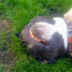 Meet your Posher, Allison